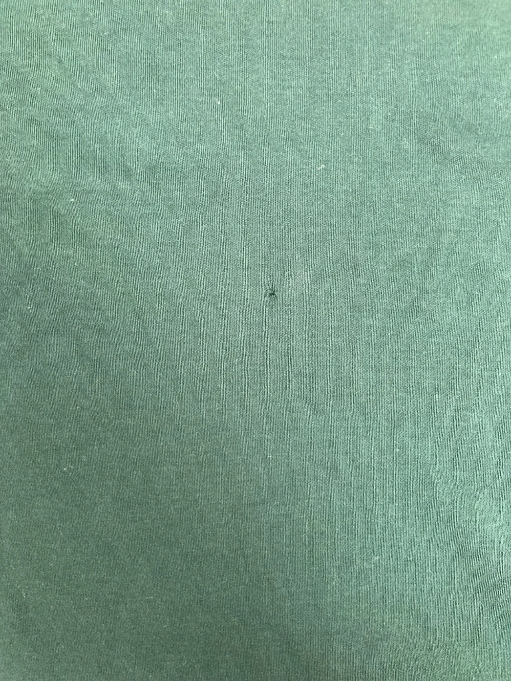 Ralph Lauren Lg Green Classic Fit Polo USA Fifa World Cup